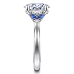 Best Gabriel & Co. Dani - 14K White Gold Round Diamond and Sapphire Engagement Ring