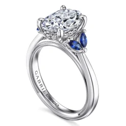 Best Gabriel & Co. Dani - 14K White Gold Round Diamond and Sapphire Engagement Ring