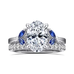 Best Gabriel & Co. Dani - 14K White Gold Round Diamond and Sapphire Engagement Ring