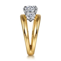 Best Gabriel & Co. Danni - 14K Yellow-White Gold Round Three Stone Split Shank Diamond Engagement Ring