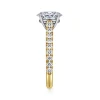 Online Gabriel & Co. Erica - 14K White-Yellow Gold Oval Diamond Engagement Ring
