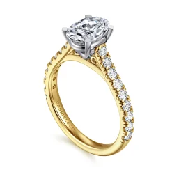 Online Gabriel & Co. Erica - 14K White-Yellow Gold Oval Diamond Engagement Ring