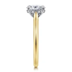 Best Gabriel & Co. Ericka - 14K White and Yellow Gold Oval Diamond Engagement Ring