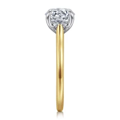Best Gabriel & Co. Ericka - 14K White and Yellow Gold Round Diamond Engagement Ring