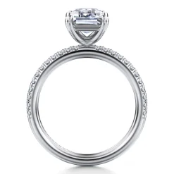 Best Gabriel & Co. Evelyn - 14K White Gold Emerald Cut Diamond Engagement Ring