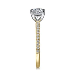 Online Gabriel & Co. Evelyn - 14K White-Yellow Gold Round Diamond Engagement Ring