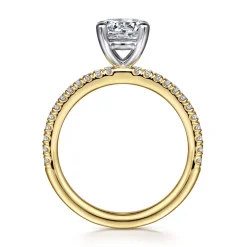 Online Gabriel & Co. Evelyn - 14K White-Yellow Gold Round Diamond Engagement Ring