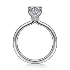 Best Gabriel & Co. Evelynn - Platinum Round Solitaire Diamond Engagement Ring