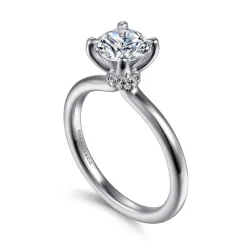 Best Gabriel & Co. Evelynn - Platinum Round Solitaire Diamond Engagement Ring