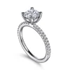 Best Gabriel & Co. Evelyn - Platinum Round Diamond Engagement Ring
