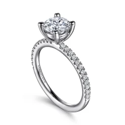 Best Gabriel & Co. Evelyn - Platinum Round Diamond Engagement Ring