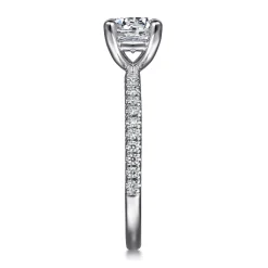 Best Gabriel & Co. Evelyn - Platinum Round Diamond Engagement Ring