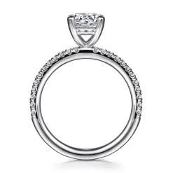 Best Gabriel & Co. Evelyn - Platinum Round Diamond Engagement Ring