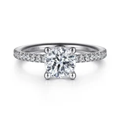 Best Gabriel & Co. Evelyn - Platinum Round Diamond Engagement Ring
