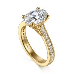 Best Gabriel & Co. Favola - 14K Yellow Gold Oval Lotus Diamond Engagement Ring