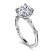 Best Gabriel & Co. Frances - 14K White Gold Round Diamond Engagement Ring