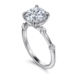Best Gabriel & Co. Frances - 14K White Gold Round Diamond Engagement Ring