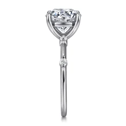 Best Gabriel & Co. Frances - 14K White Gold Round Diamond Engagement Ring
