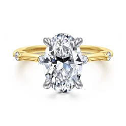 Best Gabriel & Co. Frances - 14K White-Yellow Gold Oval Diamond Engagement Ring