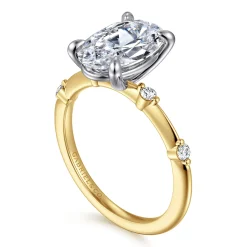 Best Gabriel & Co. Frances - 14K White-Yellow Gold Oval Diamond Engagement Ring
