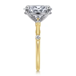 Best Gabriel & Co. Frances - 14K White-Yellow Gold Oval Diamond Engagement Ring