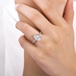 Outlet Gabriel & Co. Hart - Platinum Hidden Halo Oval Diamond Engagement Ring