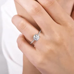Discount Gabriel & Co. Hart - Platinum Hidden Halo Round Diamond Engagement Ring