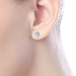 Best Gabriel & Co. 14K White Gold Round Cluster Diamond Stud Earrings