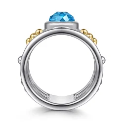 Clearance Gabriel & Co. 14K Yellow Gold and 925 Sterling Silver Bujukan Blue Topaz Wide Band Ring