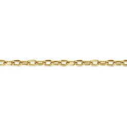 Discount Gabriel & Co. 14K Yellow Gold Hollow Chain Bracelet