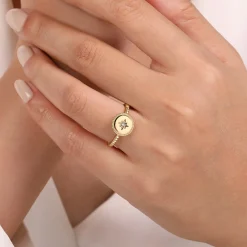 Hot Gabriel & Co. 14K Yellow Gold Round Diamond Star Bujukan Signet Ring