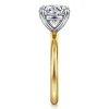Best Gabriel & Co. Lark - 14K White-Yellow Gold Round Solitaire Diamond Engagement Ring