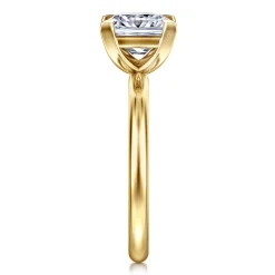 Best Gabriel & Co. Lark - 14K Yellow Gold Princess Cut Solitaire Engagement Ring