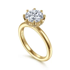Best Gabriel & Co. Liona - 14K Yellow Gold Round Solitaire Diamond Engagement Ring