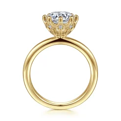 Best Gabriel & Co. Liona - 14K Yellow Gold Round Solitaire Diamond Engagement Ring