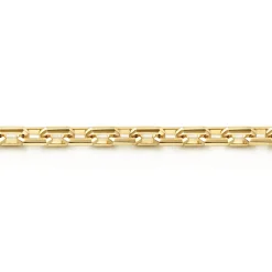 Discount Gabriel & Co. 5.50mm 14K Yellow Gold Men's Solid Faceted Link Chain Bracelet