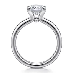 Outlet Gabriel & Co. Neema - Platinum Princess Cut Diamond Engagement Ring