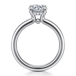 Best Gabriel & Co. Neema - Platinum Round Diamond Engagement Ring