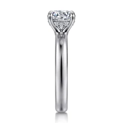 Best Gabriel & Co. Neema - Platinum Round Diamond Engagement Ring