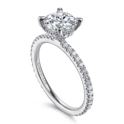 Best Gabriel & Co. Noa - 14K White Gold Round Diamond Engagement Ring