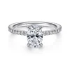 Hot Gabriel & Co. Noa - Platinum Oval Diamond Engagement Ring