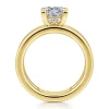 Online Gabriel & Co. Oksana - 14K Yellow Gold Split Shank Princess Cut Diamond Engagement Ring