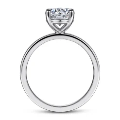 Best Gabriel & Co. Paula - 14K White Gold Round Diamond Engagement Ring