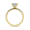New Gabriel & Co. Paula - 14K Yellow Gold Round Diamond Engagement Ring