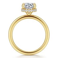 Best Gabriel & Co. Rainah - 14K Yellow Gold Round Diamond Engagement Ring