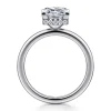 Discount Gabriel & Co. Rainah - Platinum Princess Diamond Engagement Ring
