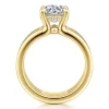 Best Gabriel & Co. Reeba - 14K Yellow Gold Round Diamond Engagement Ring