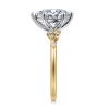Gabriel & Co. Reena - 14K White and Yellow Gold Pear Shape Diamond Engagement Ring
