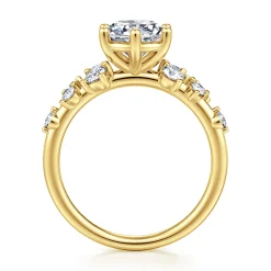 Best Gabriel & Co. Reena - 14K Yellow Gold Round Diamond Engagement Ring