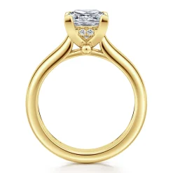 Clearance Gabriel & Co. Reeve - 14K Yellow Gold Princess Cut Diamond Engagement Ring